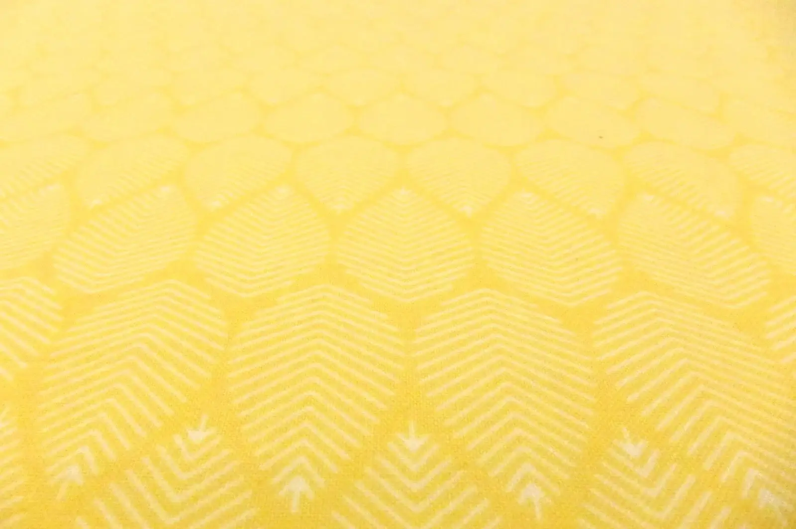 Cotton Broadcloth Print2