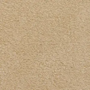 UltraSuede Soft Chamois1