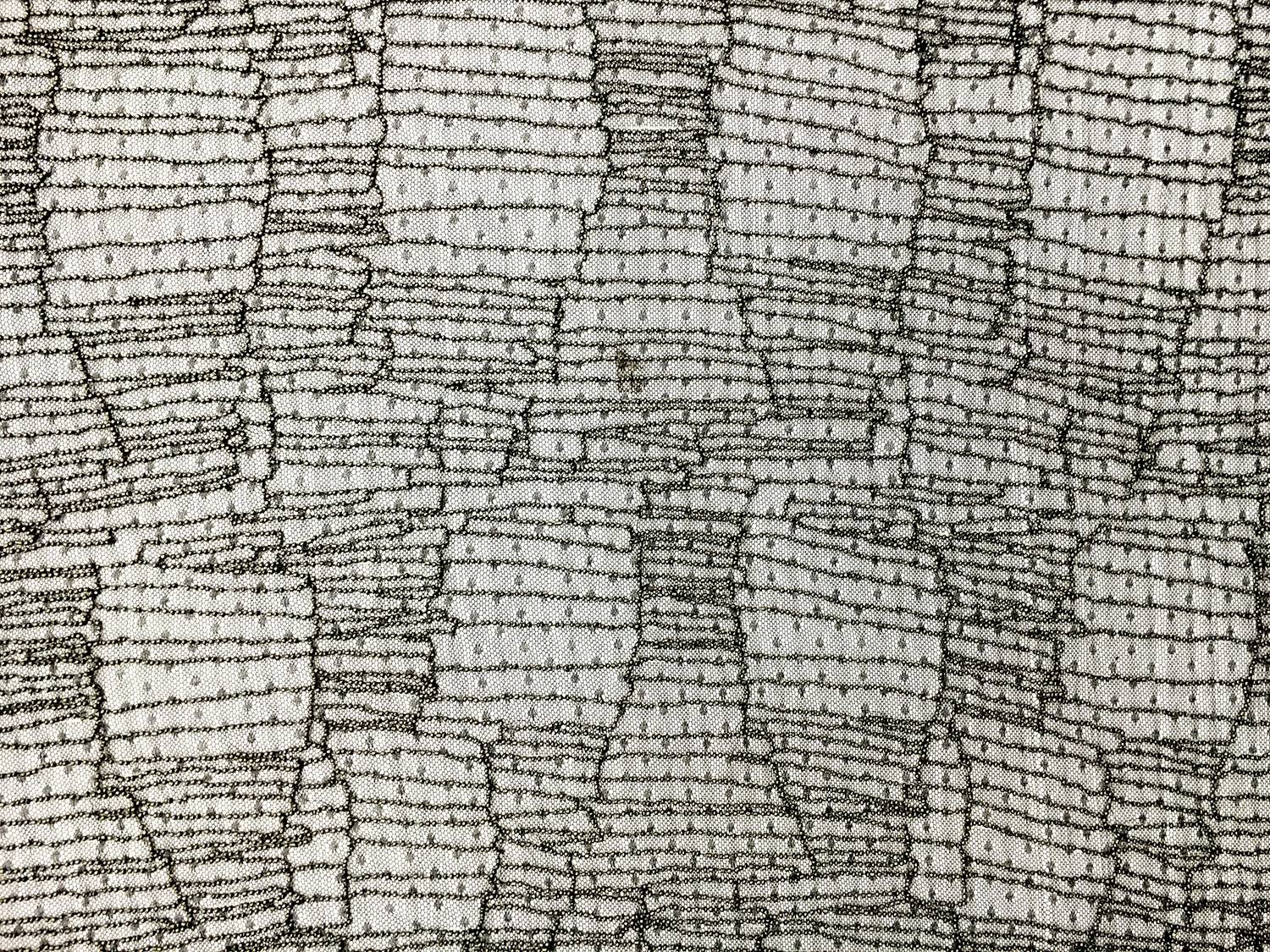 Novelty Beaded Point d'Esprit0