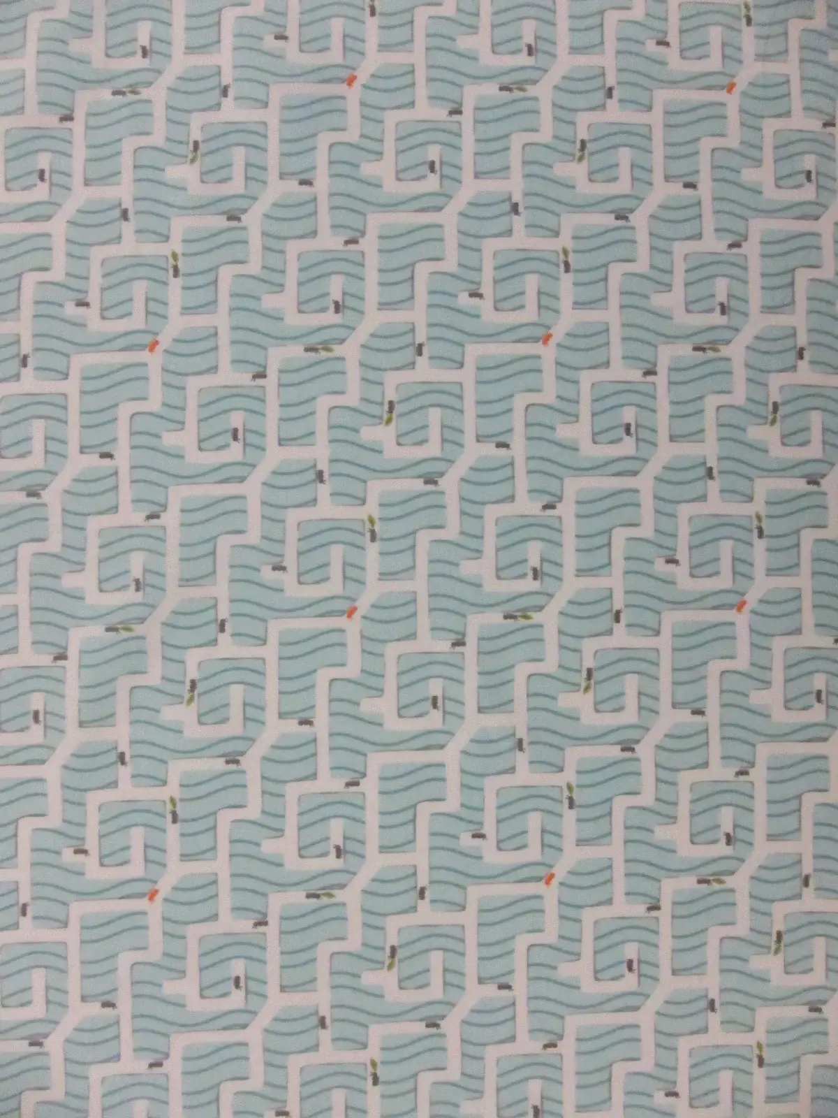 Cotton Broadcloth Print0