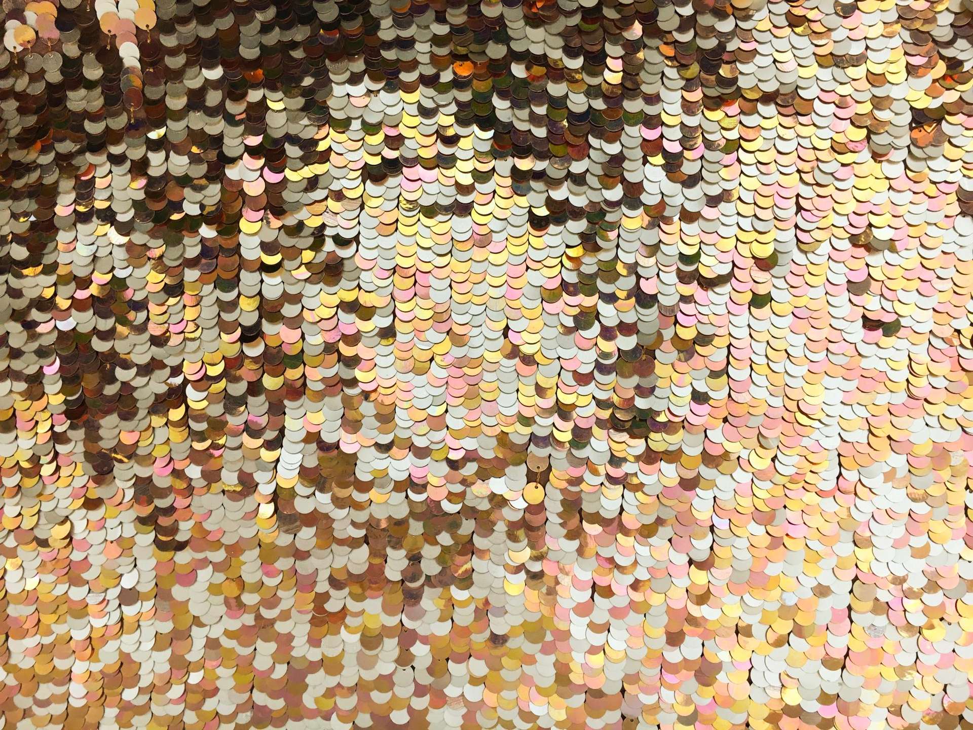 Novelty Pailettes on Silk Chiffon0