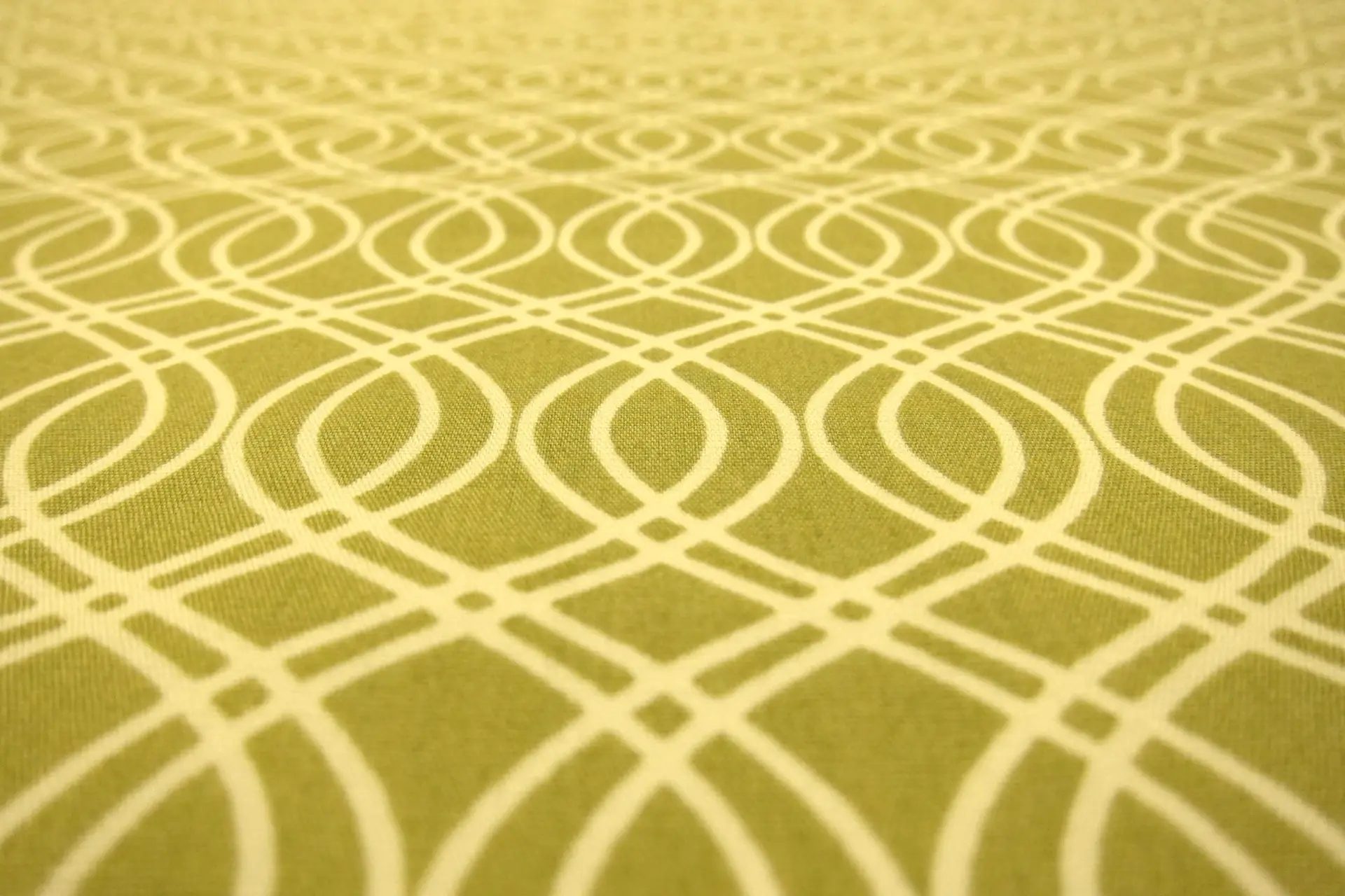 Cotton Broadcloth Print2