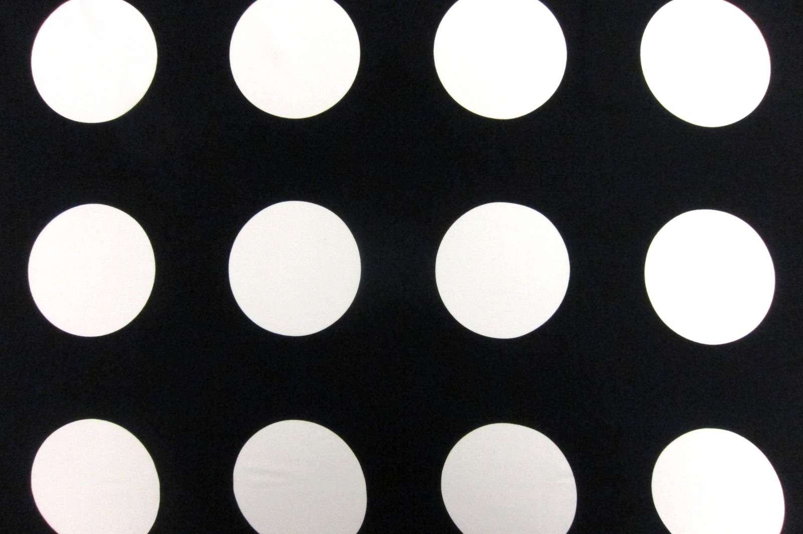 Printed Silk Charmeuse0