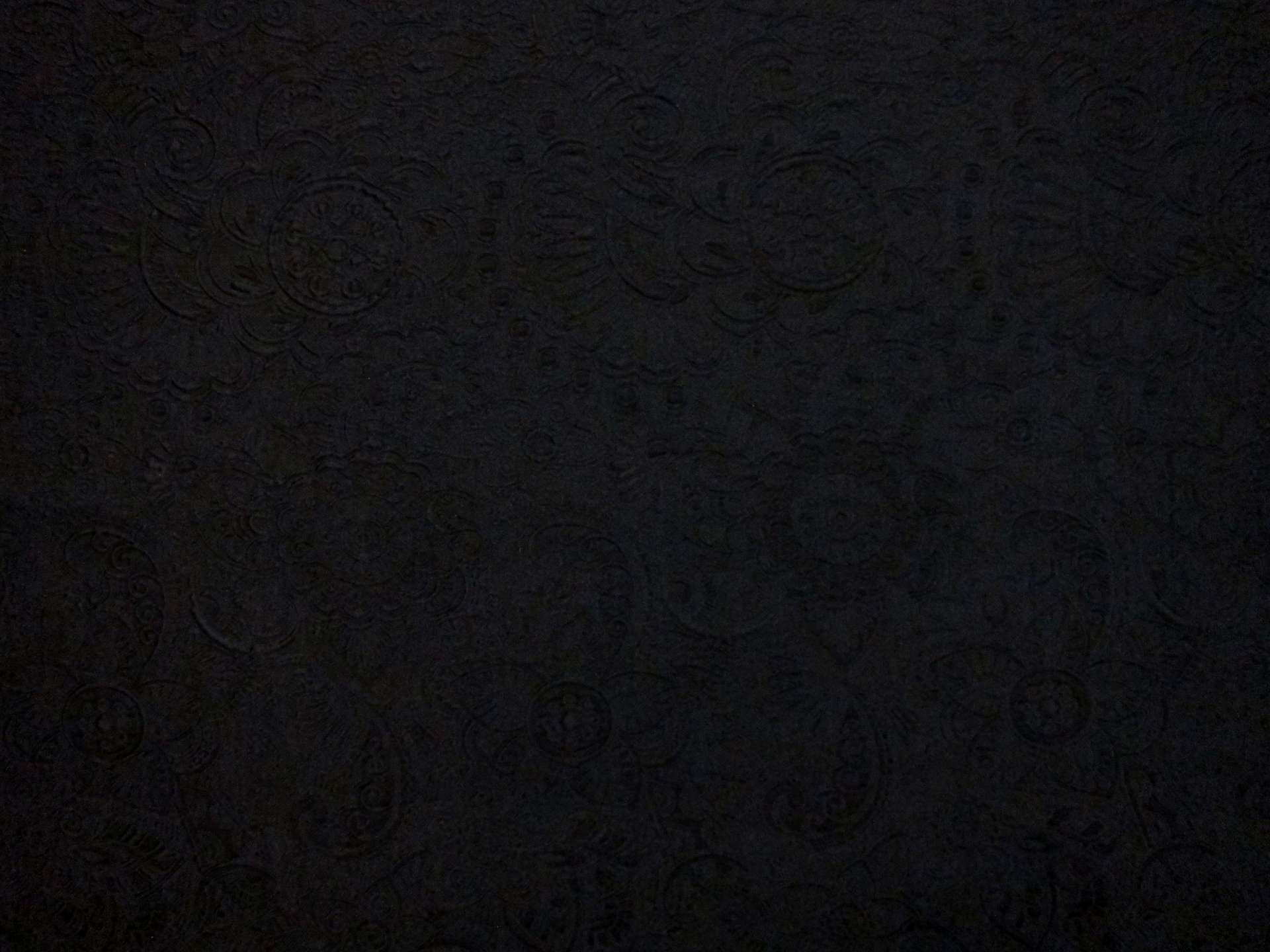 Silk Blend Organza Cloqué0
