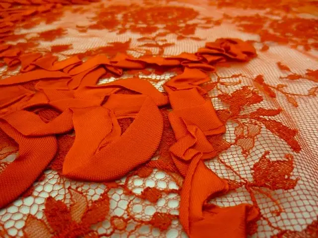 Ribbon Lace2