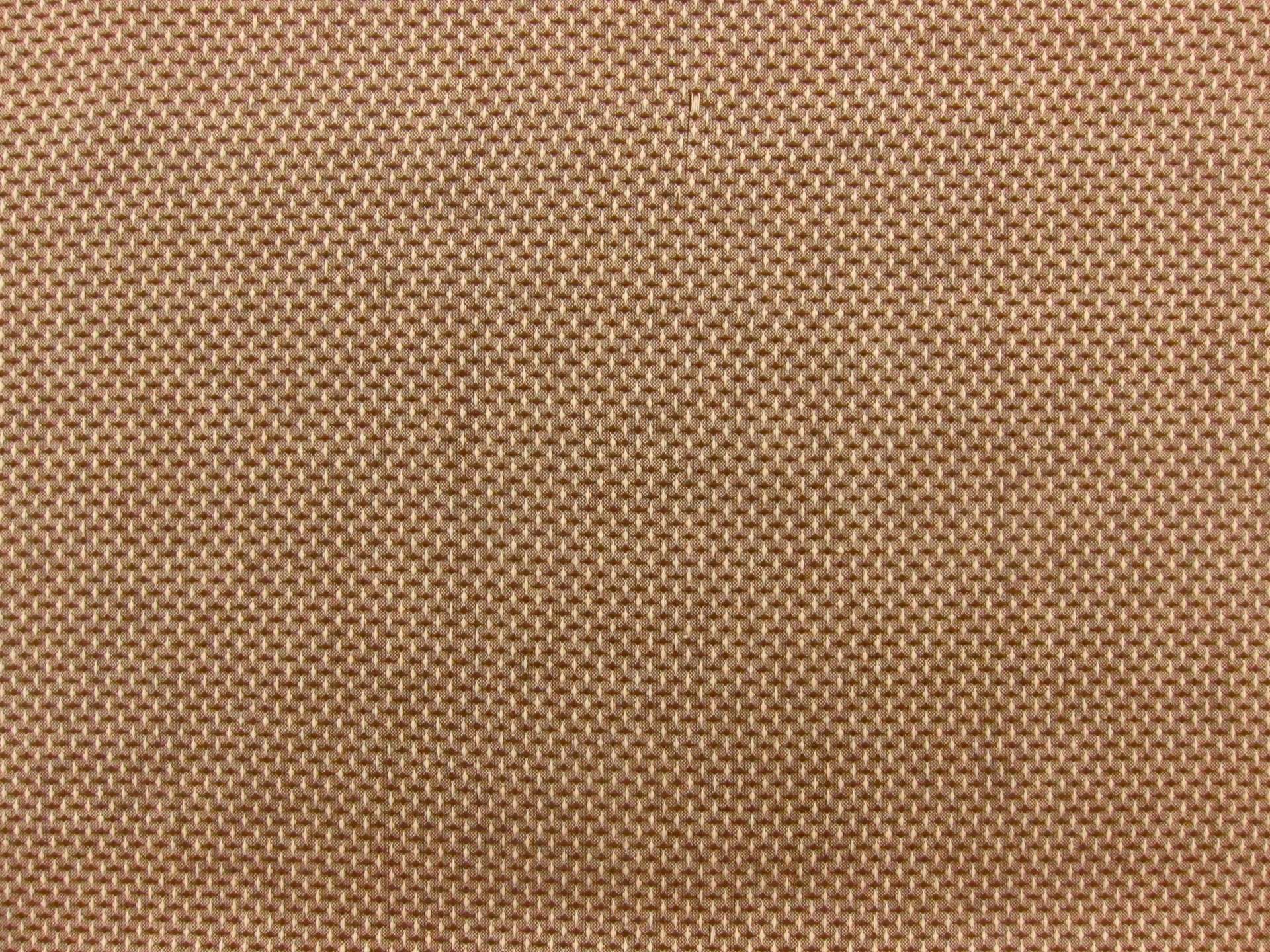 Cotton Woven Novelty