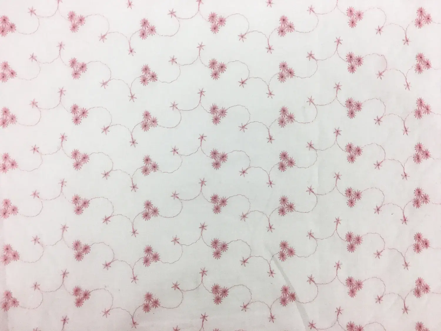 Cotton Eyelet with Embroidered Flowers in Pink0