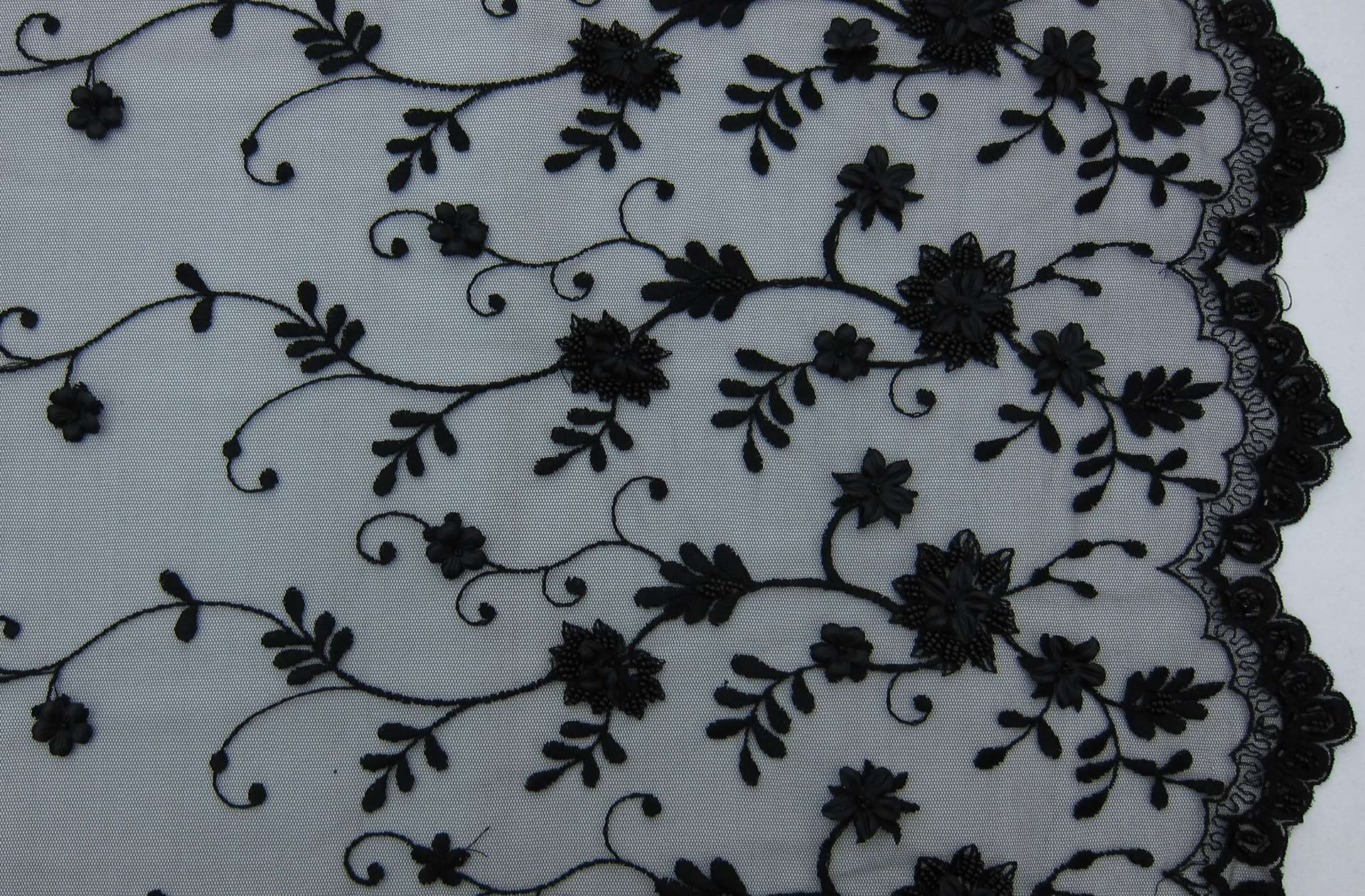 Embroidered Illusion with Appliqué and Beads0
