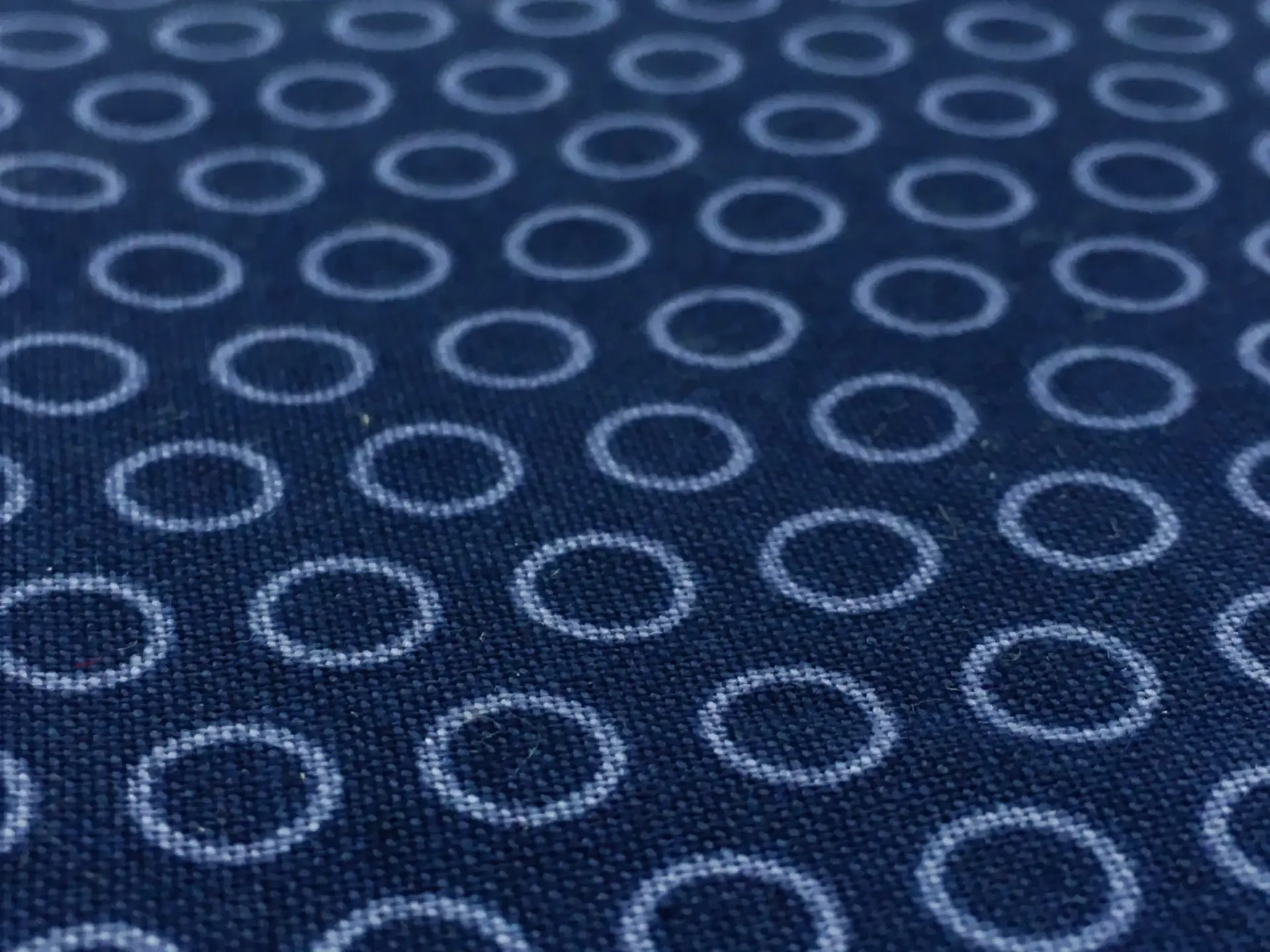 Cotton Broadcloth Print0