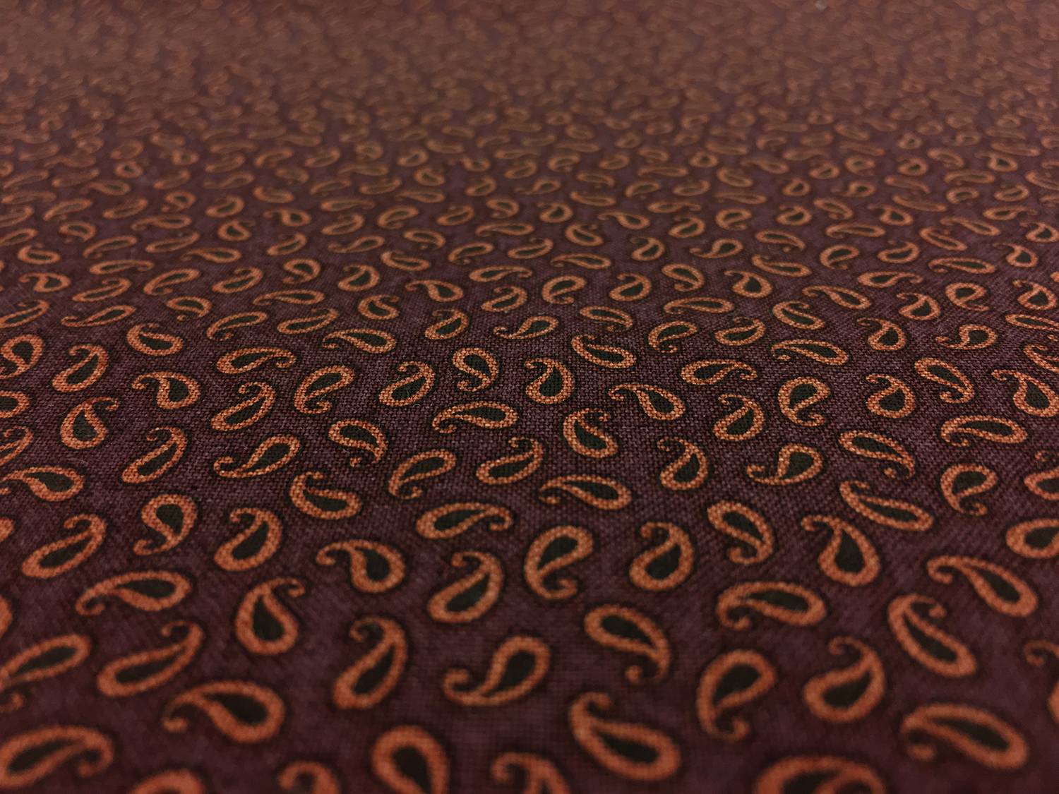 Cotton Print With Paisley Drop Pattern2