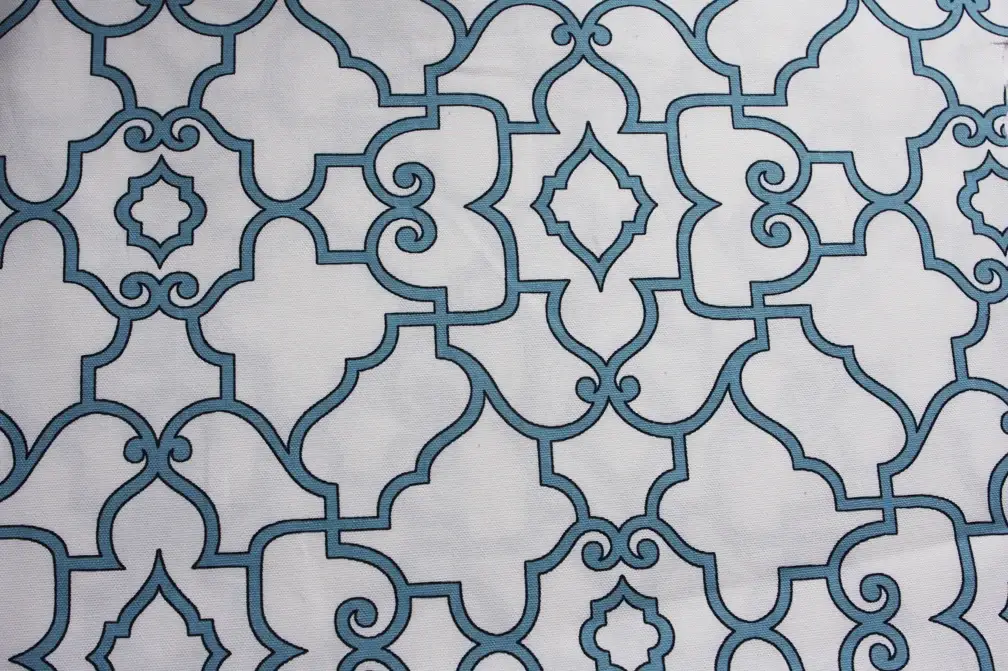 Printed Cotton Canvas0