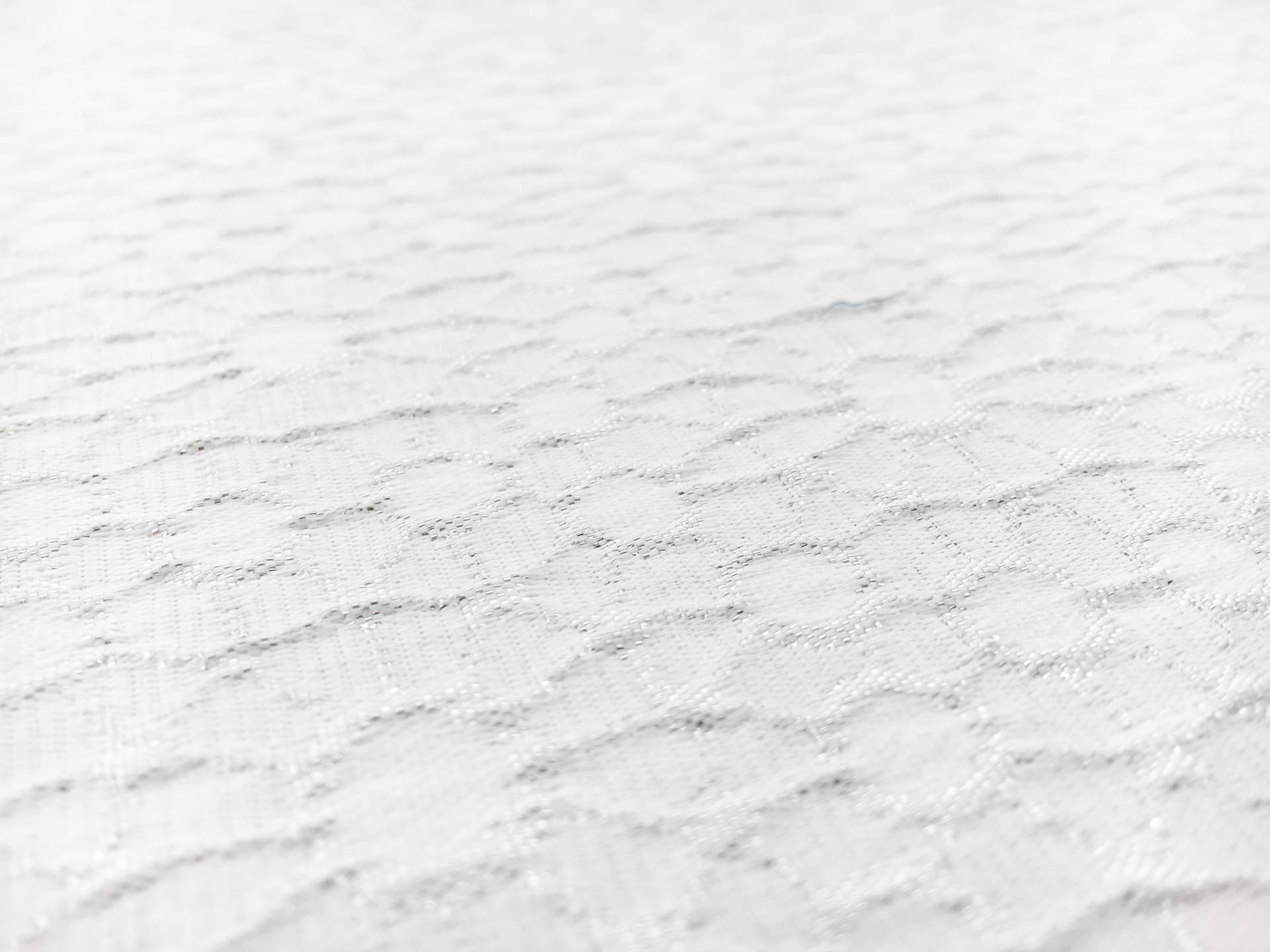 Metallic Acetate Blend Brocade in Silver0