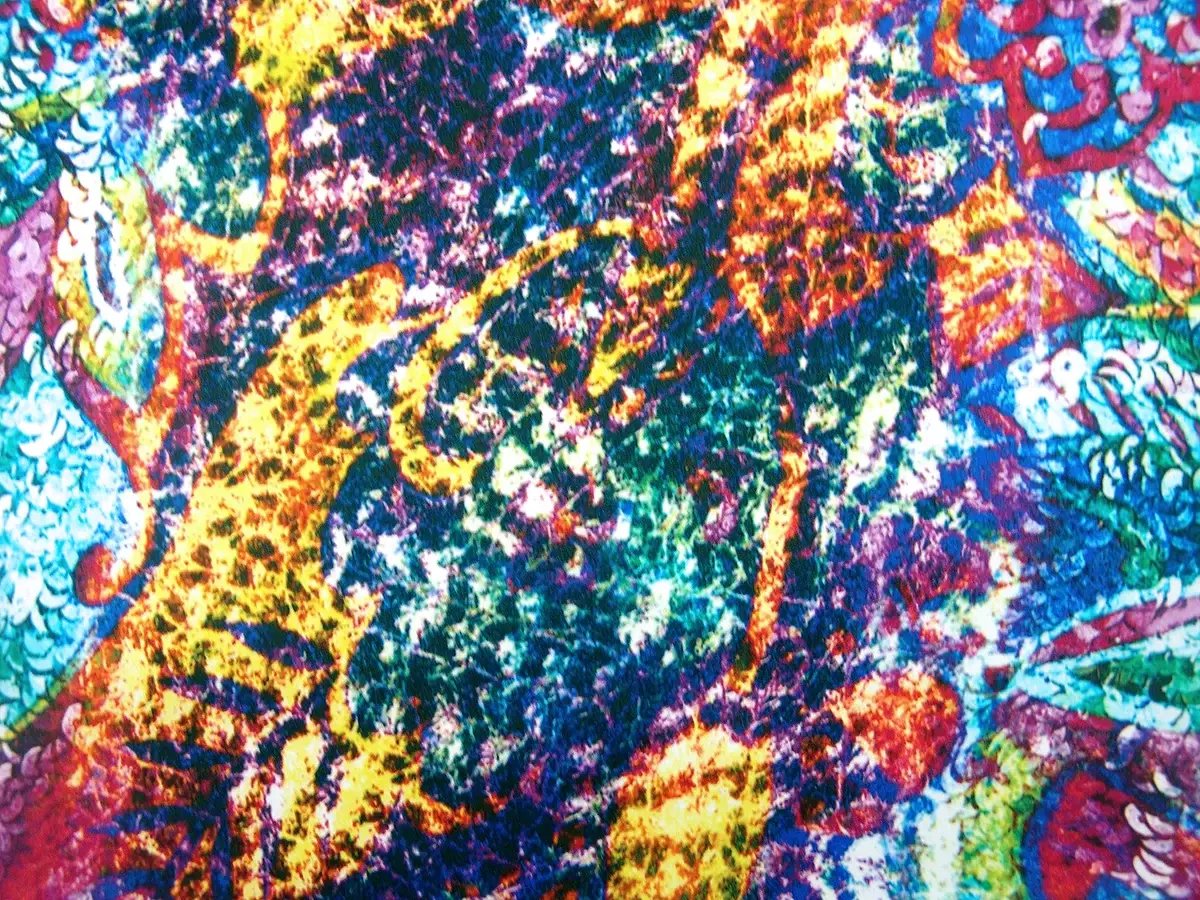 Printed Silk Charmeuse0