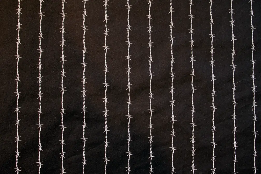 Cotton Print1