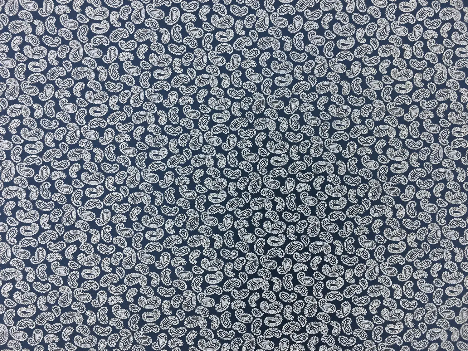 Cotton Broadcloth With Paisley Print in Navy And White0