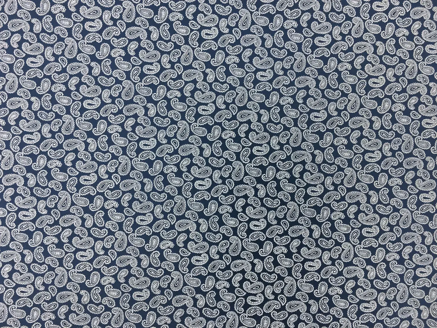 Cotton Broadcloth With Paisley Print in Navy And White0