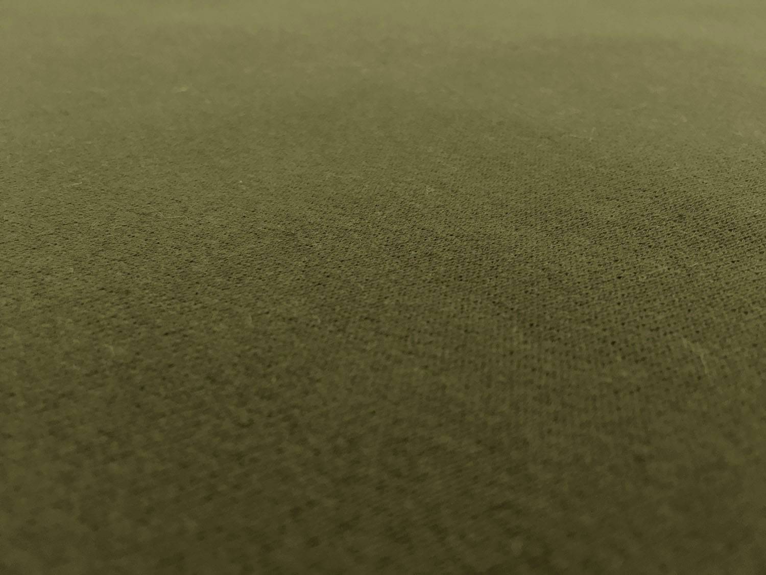 Japanese Cotton Sweatshirt Fleece in Olive Green2