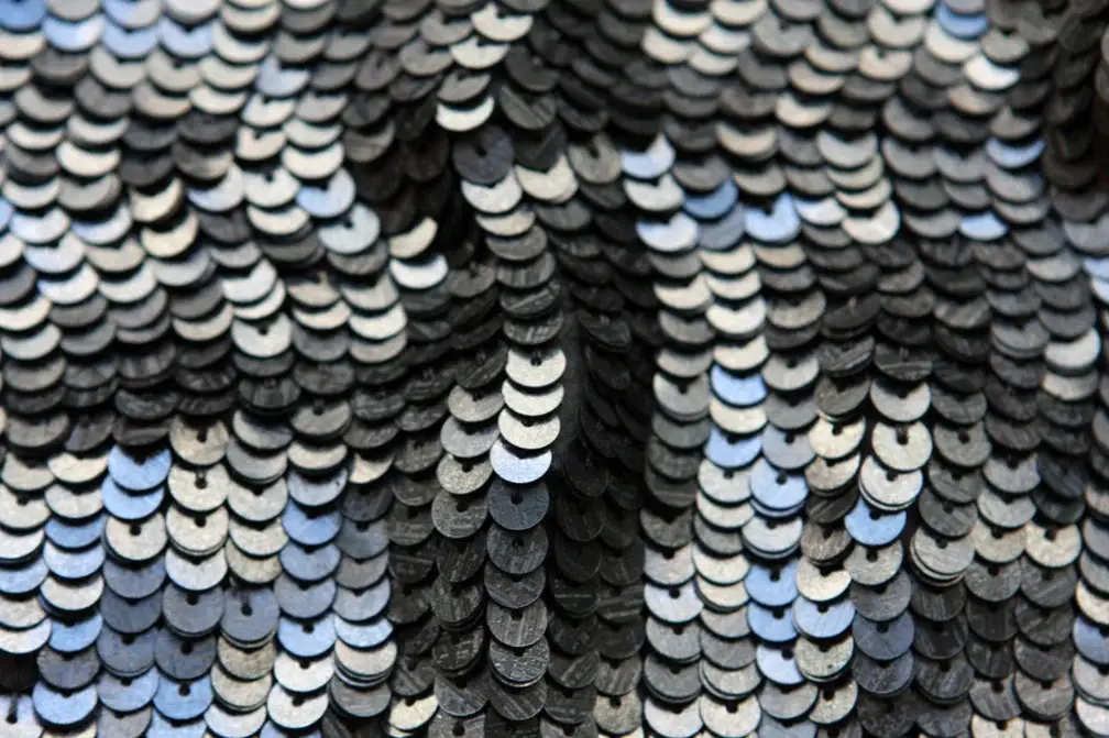 Sequins on Silk Chiffon3