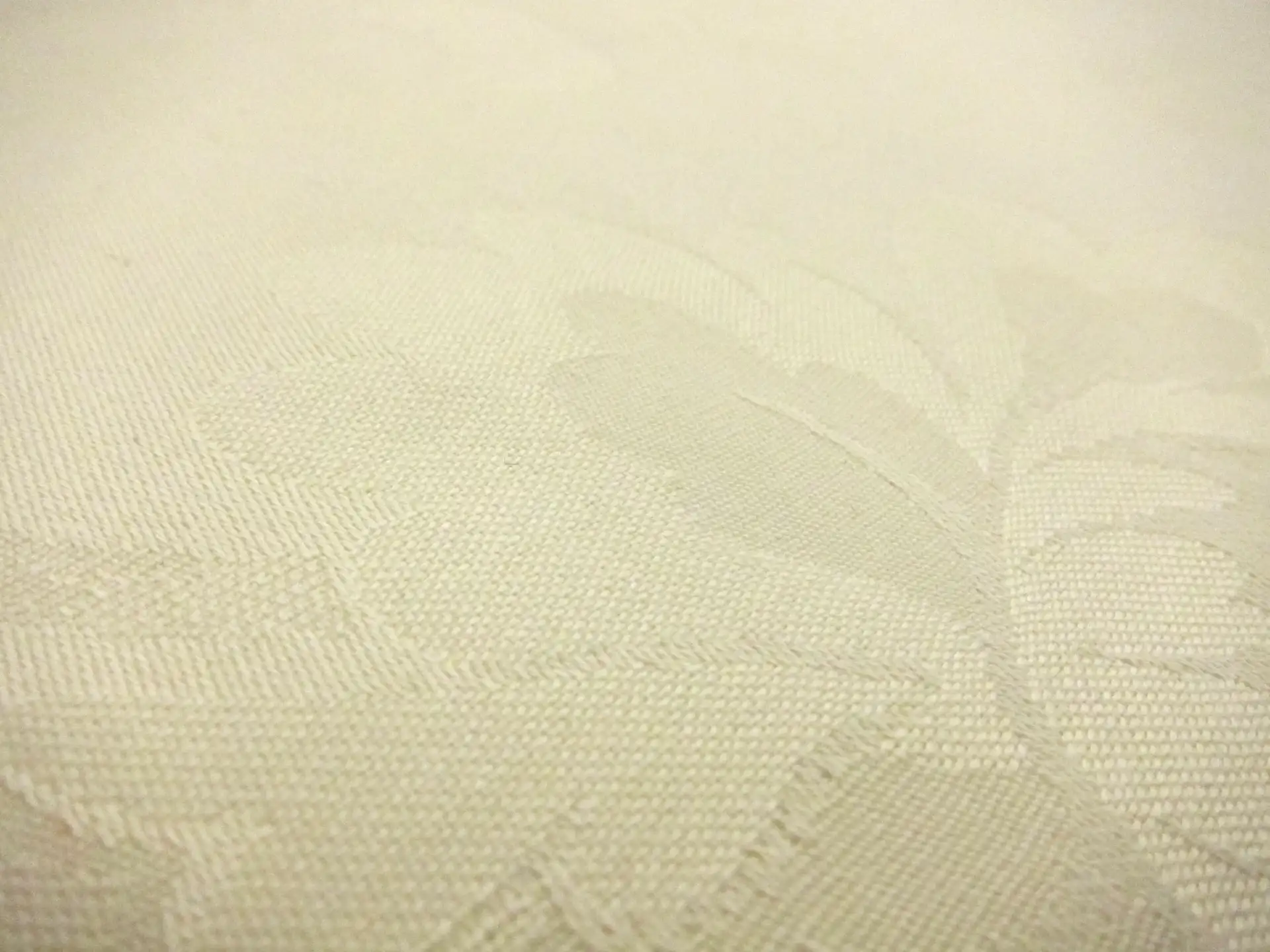 Cotton Jacquard0