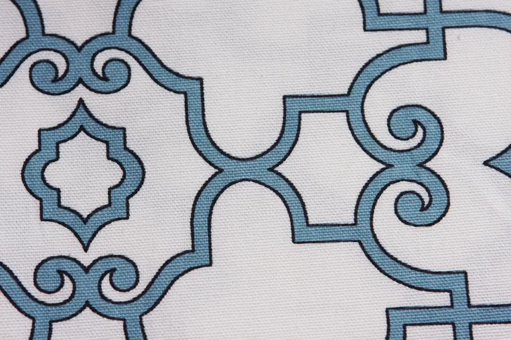 Printed Cotton Canvas2
