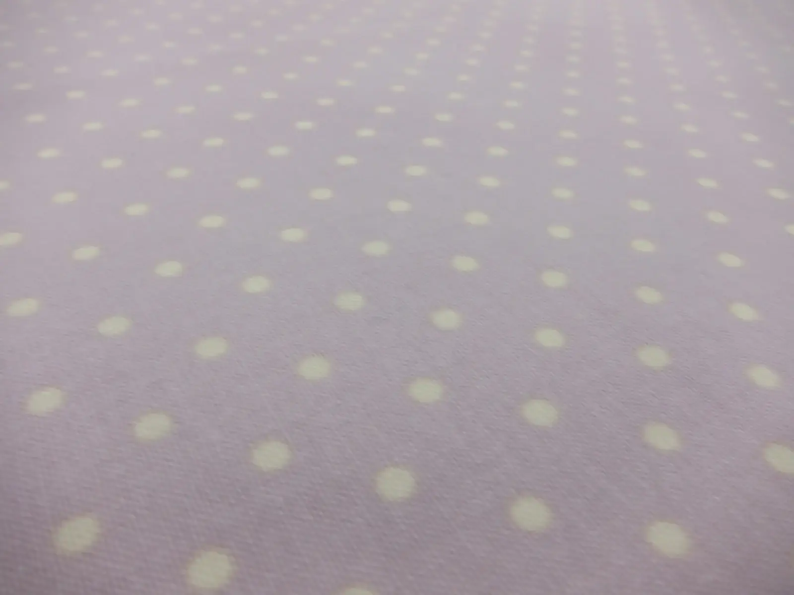 Cotton Broadcloth Print2