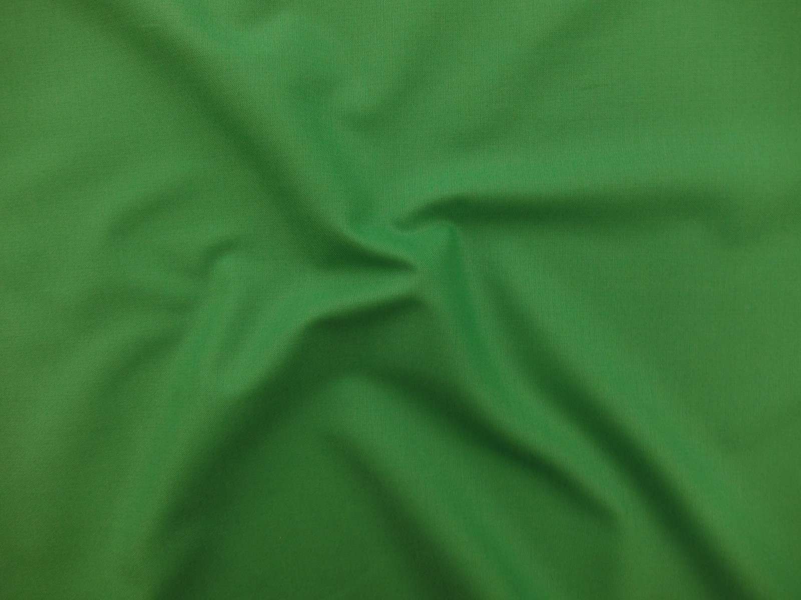 Kona Cotton in Fern