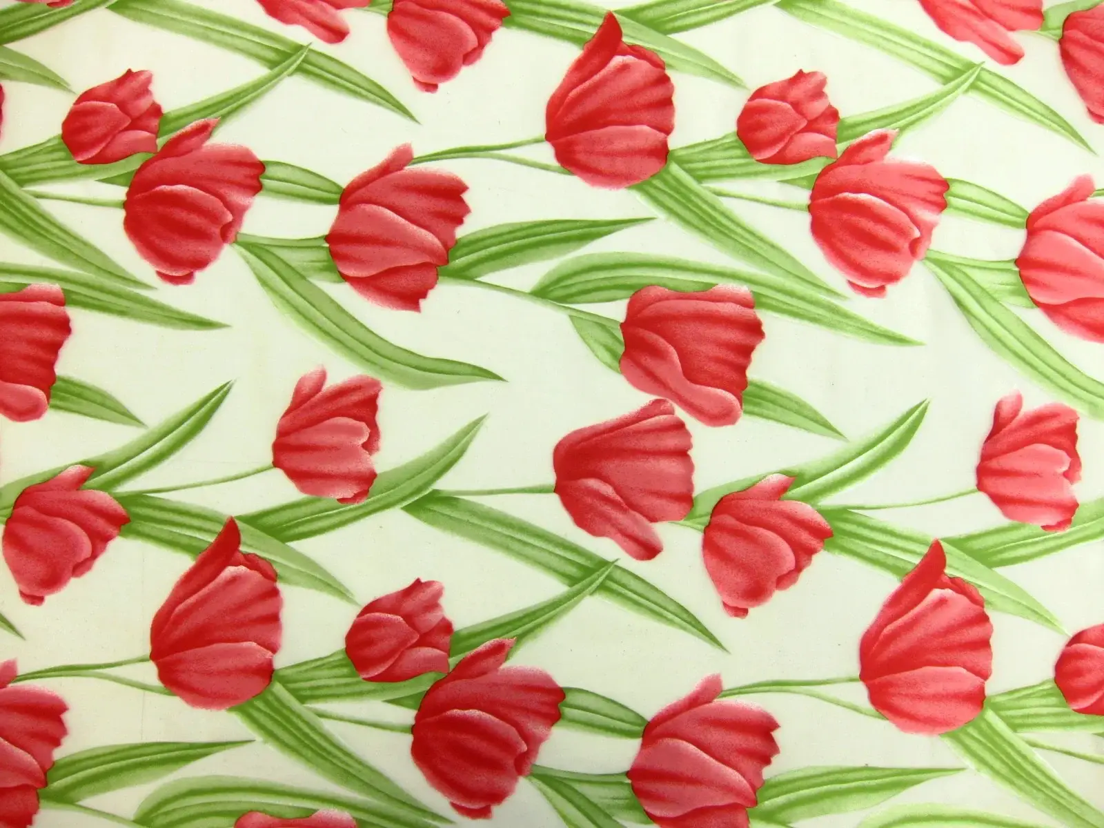 Printed Silk Burnout Chiffon0