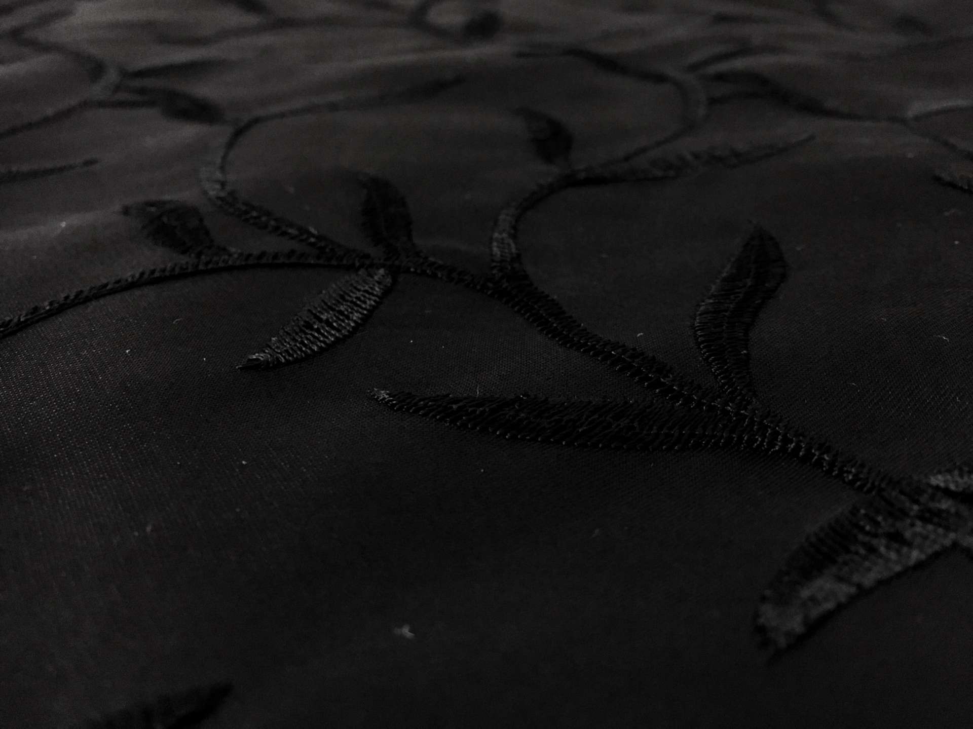 Silk Satin Organza Embroidered with Vines and Leaves0