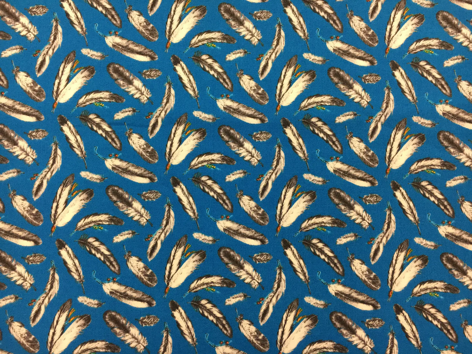 Cotton Broadcloth With Feathers Print0