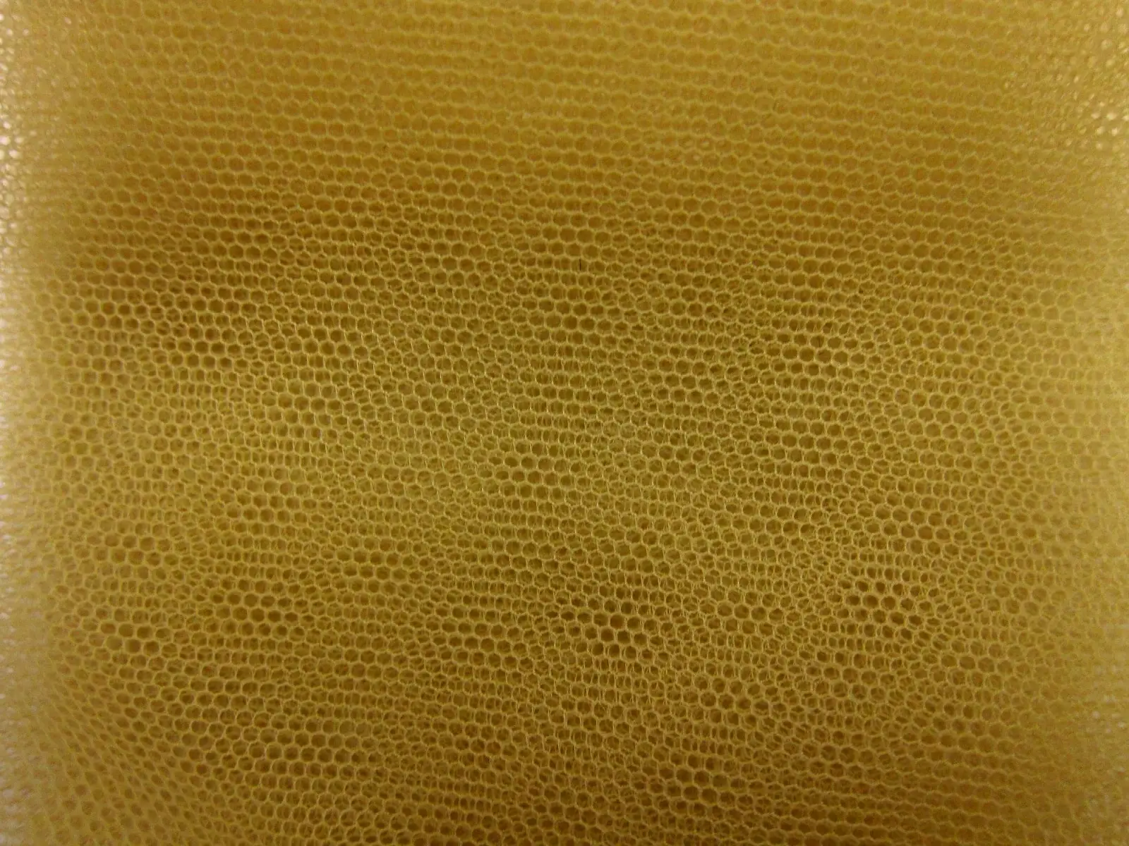 Italian Nylon Tulle in Senape0