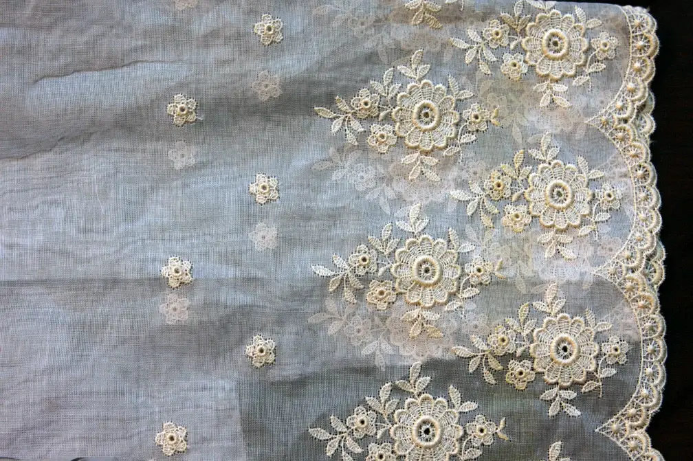 Cotton Embroidered Organdy1