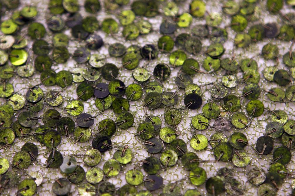 Sequins on Metallic Tulle2