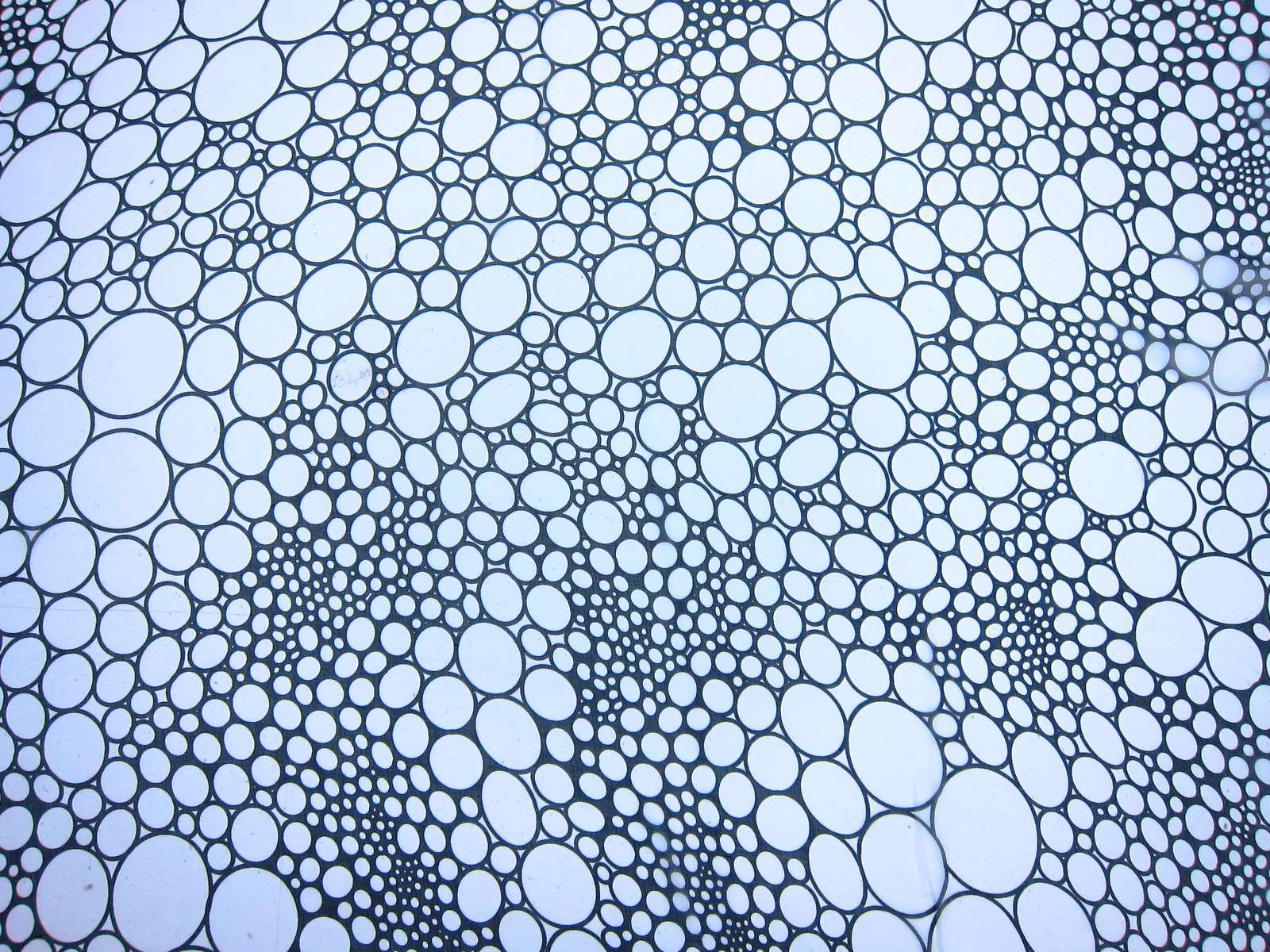 Printed Silk Chiffon0