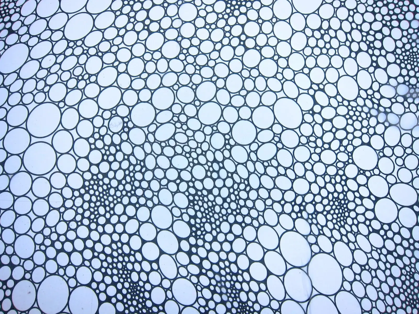 Printed Silk Chiffon0