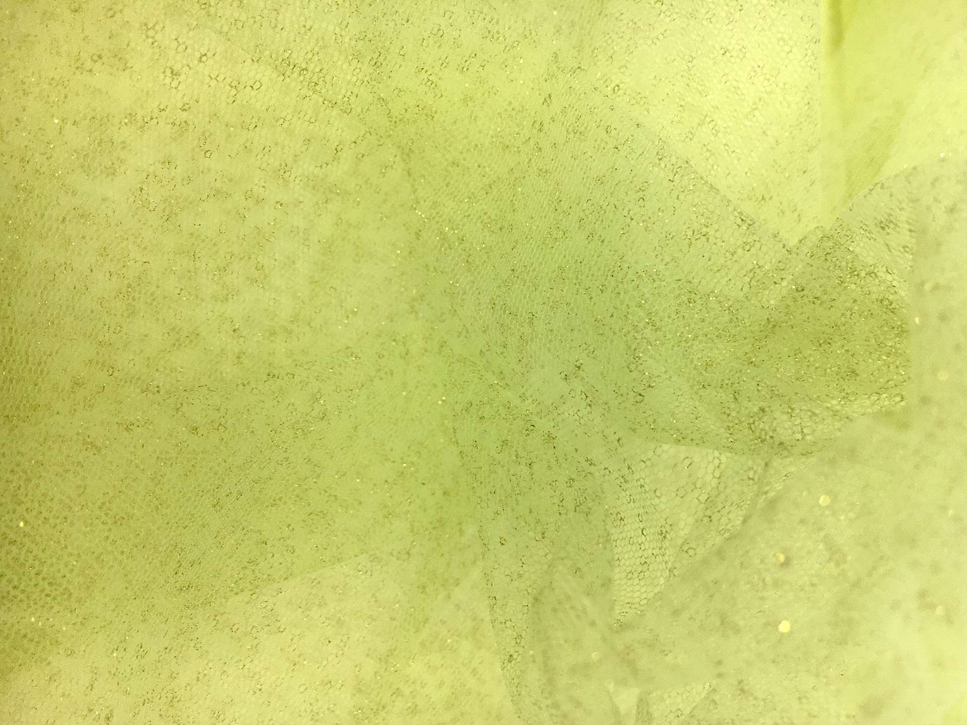 Metallic Nylon Tulle in Pistacchio and Gold