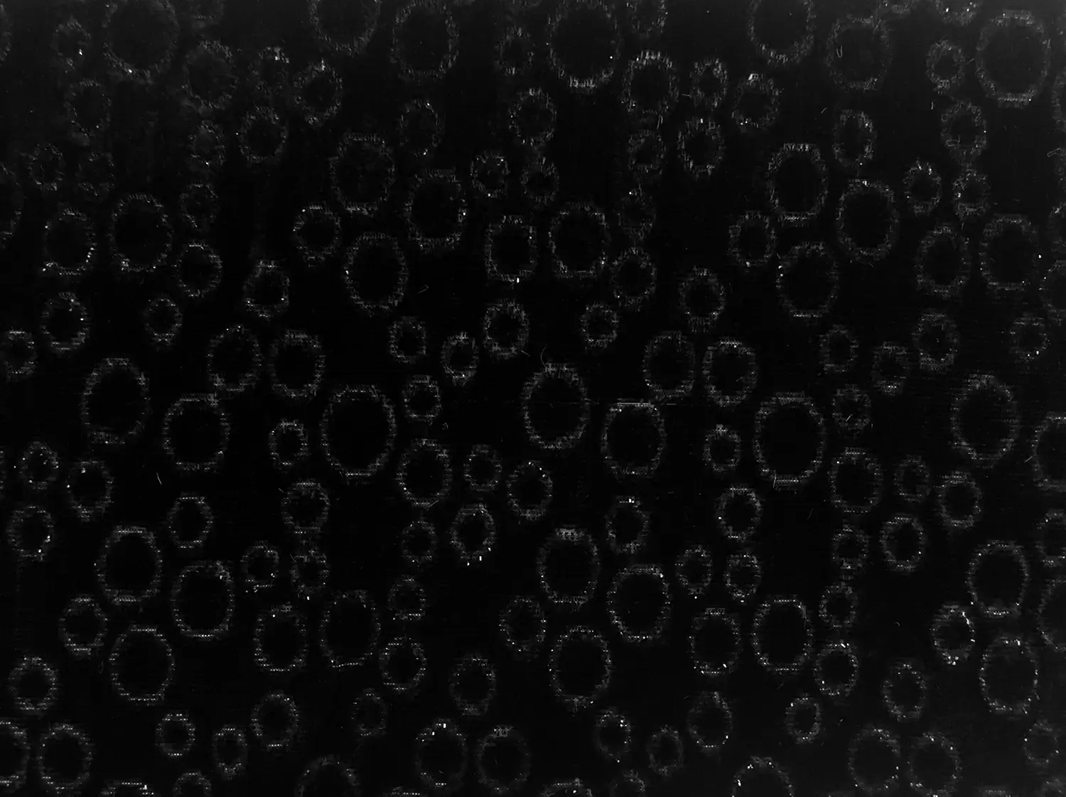 Silk Lurex Panne Velvet with Circles in Black0