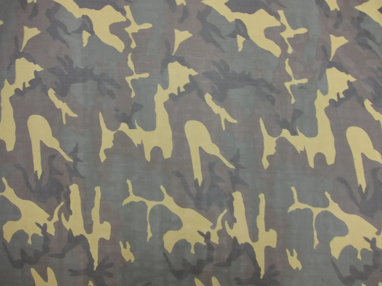 Printed Silk Chiffon1