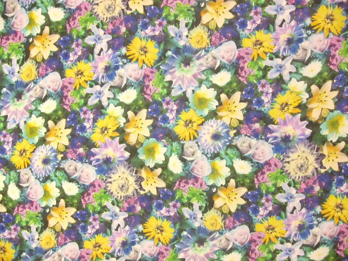 Printed Silk Chiffon0