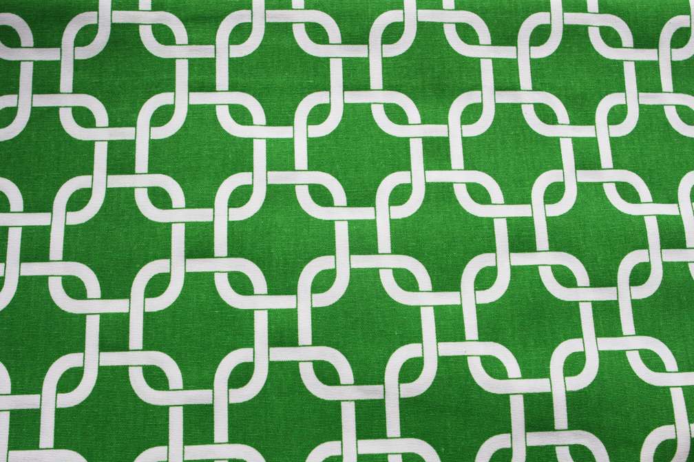 Printed Cotton Canvas in Kelly White