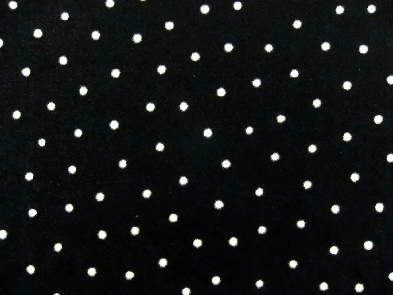 Flocked Tulle0