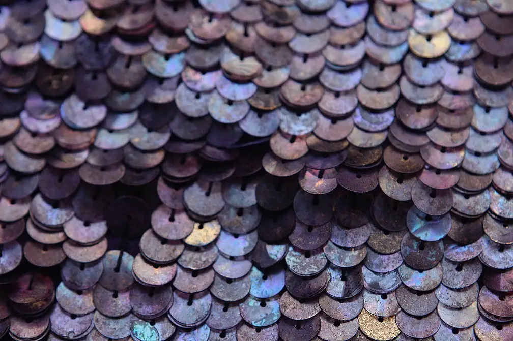 Sequins on Silk Chiffon3