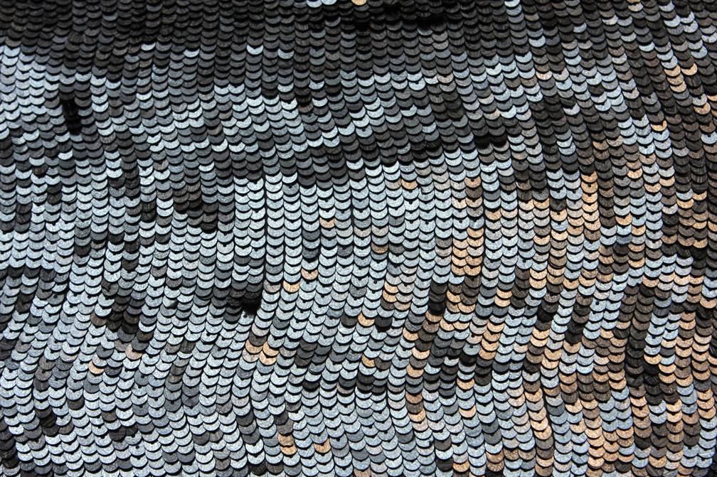 Sequins on Silk Chiffon1