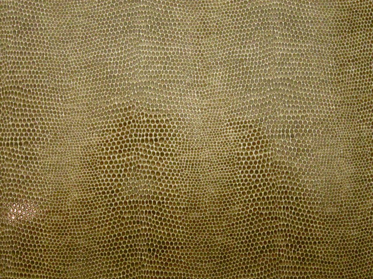 Snake Upholstery Vinyl in Driftwood0