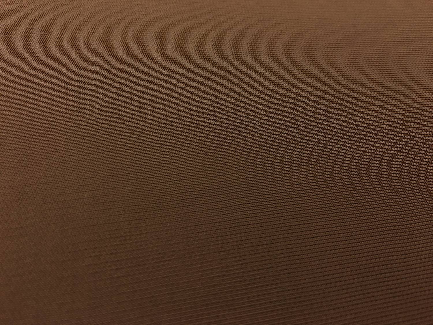 Rayon Matte Jersey in Toffee 0