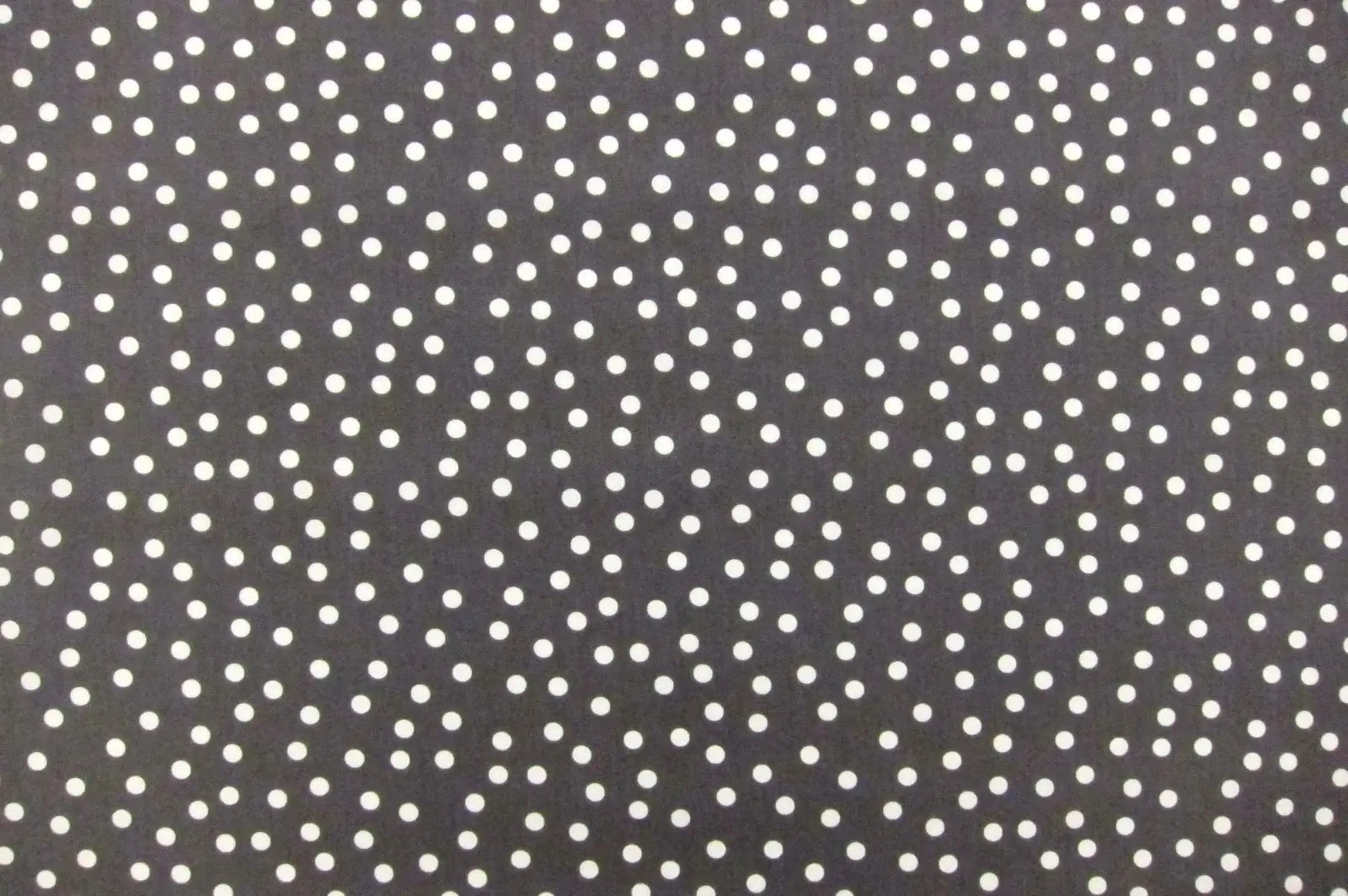 Cotton Broadcloth Print0