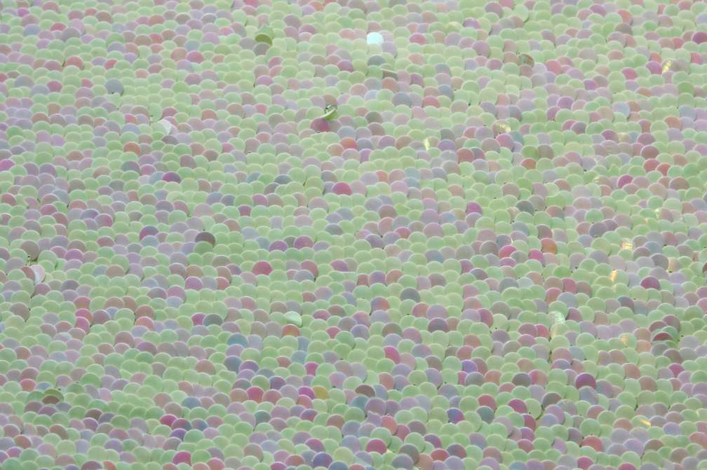 Paillettes on Silk Chiffon0