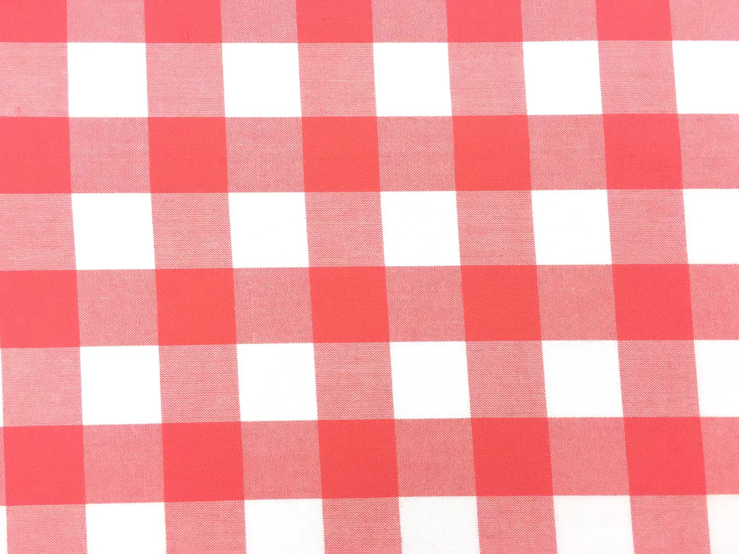 Carolina Cotton Gingham in Coral0