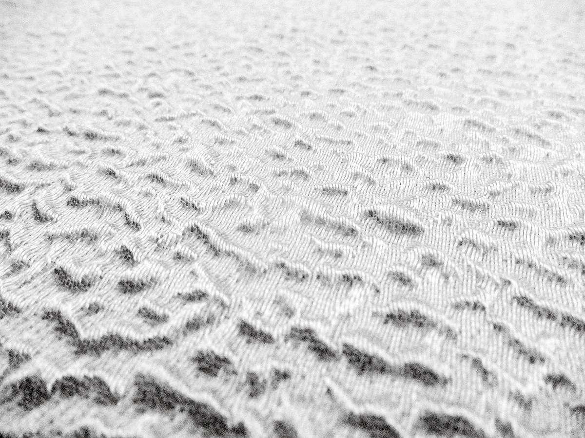 Silk Blend Organza Cloqué0
