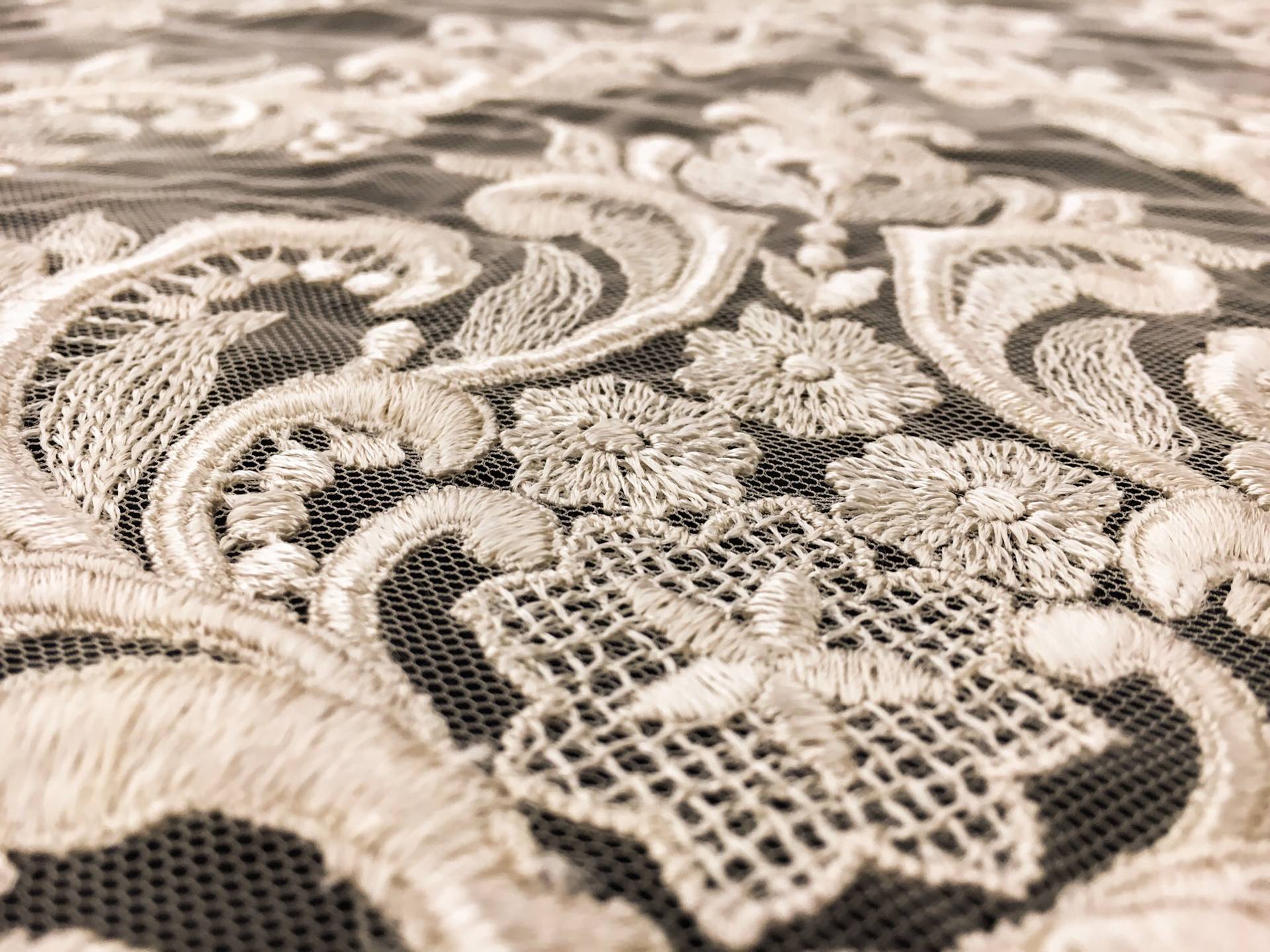 Ornate Embroidered Tulle in Nude3