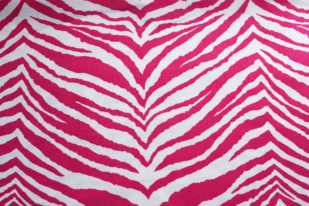 Printed Cotton Canvas Zebra in Fuchsia White